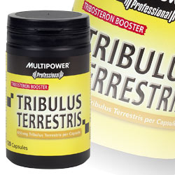Fortifiant musculaire Multipower tribulus terrestris
