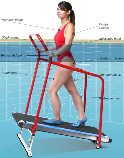 Descriptif du tapis d Aqua Jogging Pro Descriptif du tapis d Aqua Jogging Pro