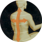 Massage du corps entier
