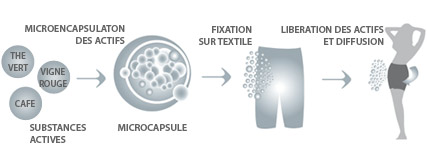 Schéma de fonctionnement Slimtess