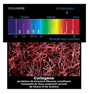 Collagène Collagène