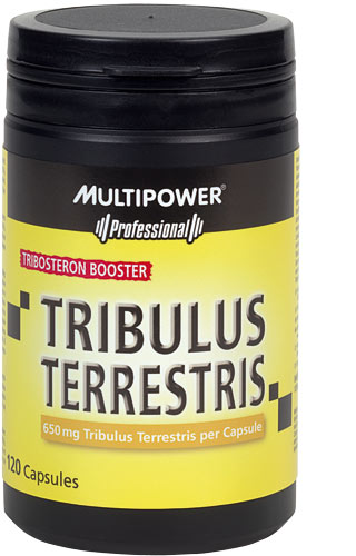 Tribulus terrestris multipower Tribulus terrestris multipower