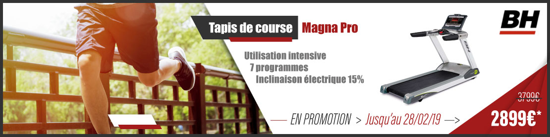 BH Fitness Magna Pro