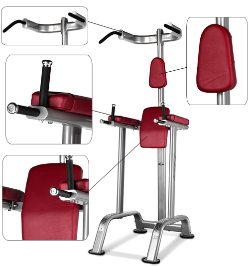 Banc abdominaux BH Hipower Chin up and Dip