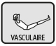 Vasculaire Compex